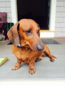 Blue-224642-edited-1